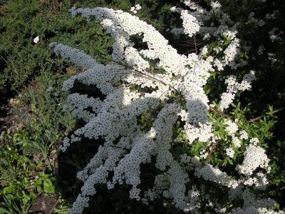 Patrycja Bochniarz 02.jpg